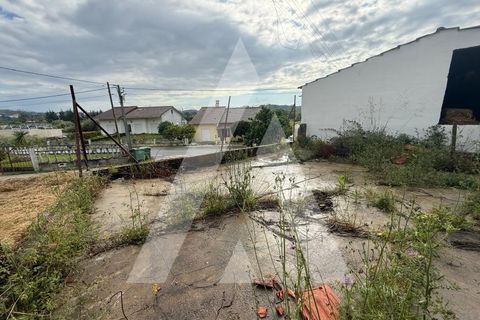 Villa i Pombal, Leiria, Pombal - € 180.000 | Ref: 1131077/26 LR - foto 47
