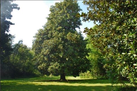 Villa a Capannori, Lucca, Capannori - € 2.000/mes | Ref: AF01304 - foto 9
