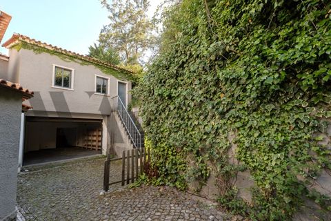 Villa i Cascais, Lisbon, Cascais - € 2.750.000 | Ref: WANTED_605 - foto 47