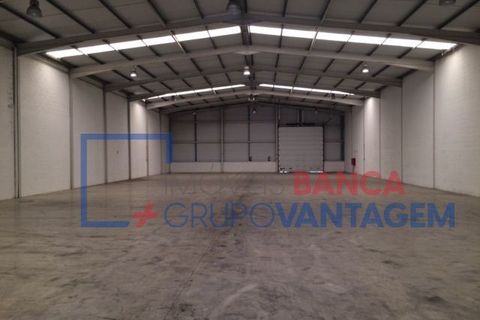 Erhvervsejendom i Agueda, Aveiro, Agueda - € 585.000 | Ref: N-30792 - foto 2