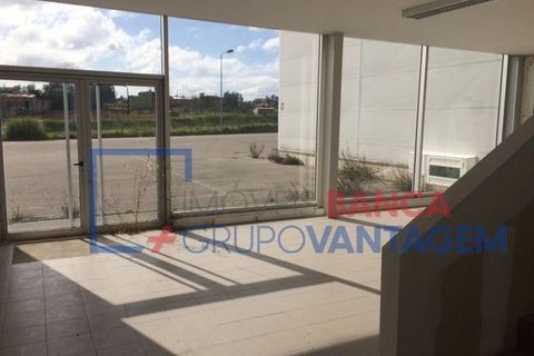 Erhvervsejendom i Agueda, Aveiro, Agueda - € 585.000 | Ref: N-30792 - foto 5