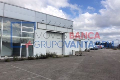 Erhvervsejendom i Agueda, Aveiro, Agueda - € 585.000 | Ref: N-30792 - foto 7