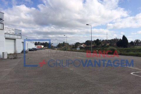 Erhvervsejendom i Agueda, Aveiro, Agueda - € 585.000 | Ref: N-30792 - foto 8