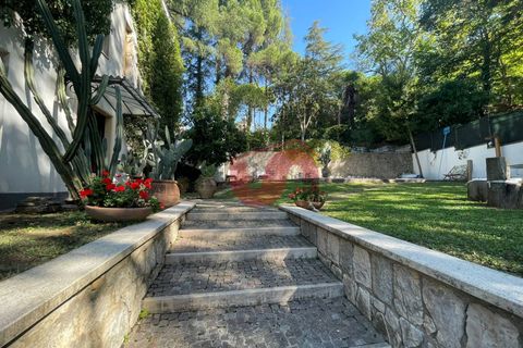 Villa a Benevento, Benevento, Benevento - € 1.500/mes | Ref: AA39891 - foto 10