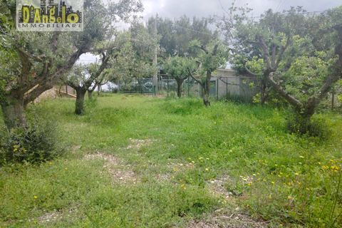 Villa a Ripatransone, Ascoli Piceno, Ripatransone - € 295.000 | Ref: 161 - foto 37