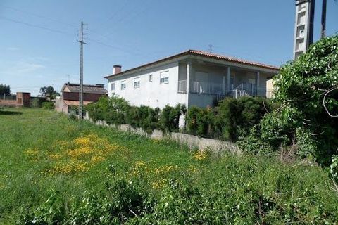 Helårsgrund i Agueda, Aveiro, Agueda - € 240.000 | Ref: T-30760 - foto 3