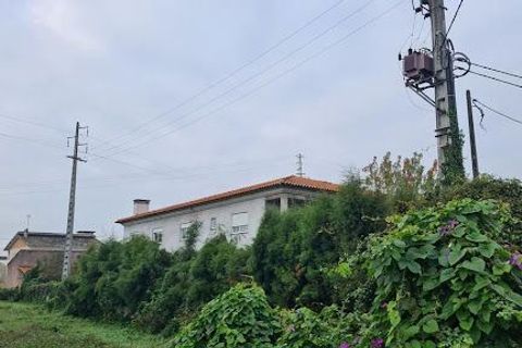 Helårsgrund i Agueda, Aveiro, Agueda - € 240.000 | Ref: T-30760 - foto 4