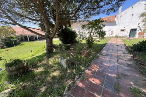 Farm i Matacaes, Lisbon, Matacaes - € 749.000 | Ref: QUI3155 - foto 7