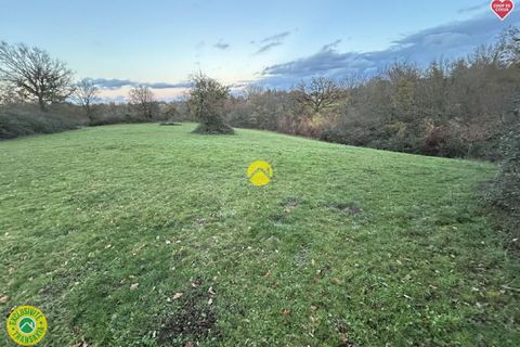 Tomt i Bourbon-l'Archambault, Allier, Bourbon-l'Archambault - € 52 500 | Ref: 97CAL111668 - foto 7