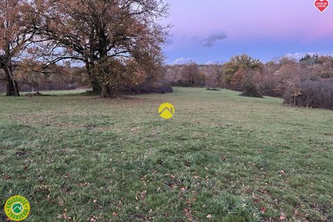 Tomt i Bourbon-l'Archambault, Allier, Bourbon-l'Archambault - € 52 500 | Ref: 97CAL111668 - foto 8