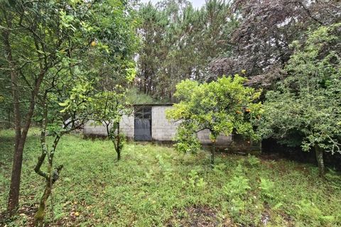 Villa a Barroselas, Viana do Castelo, Barroselas - € 255.000 | Ref: 251260079 - foto 15