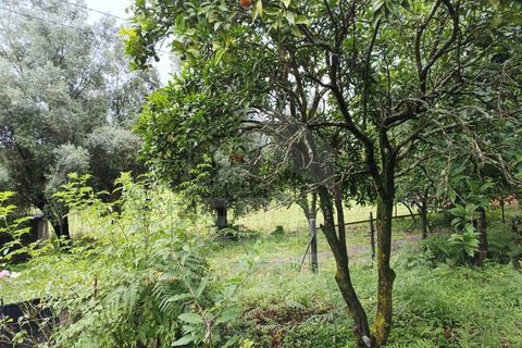 Villa a Barroselas, Viana do Castelo, Barroselas - € 255.000 | Ref: 251260079 - foto 16