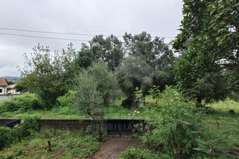 Villa a Barroselas, Viana do Castelo, Barroselas - € 255.000 | Ref: 251260079 - foto 17