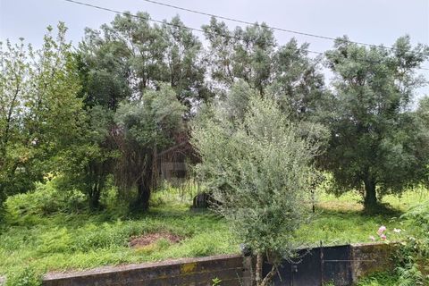 Villa a Barroselas, Viana do Castelo, Barroselas - € 255.000 | Ref: 251260079 - foto 19