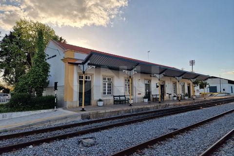 Helårsgrund i Alvito, Beja, Alvito - € 29.000 | Ref: UNU.I.1268.20159 - foto 22