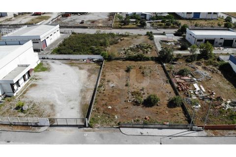 Terra a Arraiolos, Evora, Arraiolos - € 120.000 | Ref: UNU.I.1271.20159 - foto 2