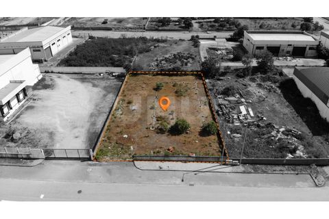 Terra a Arraiolos, Evora, Arraiolos - € 120.000 | Ref: UNU.I.1271.20159 - foto 3