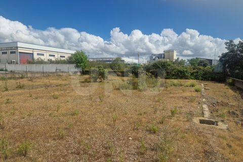 Terra a Arraiolos, Evora, Arraiolos - € 120.000 | Ref: UNU.I.1271.20159 - foto 4