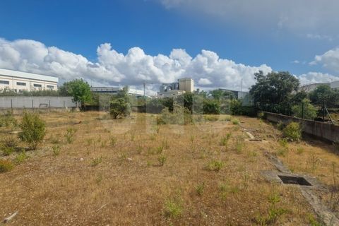 Terra a Arraiolos, Evora, Arraiolos - € 120.000 | Ref: UNU.I.1271.20159 - foto 5