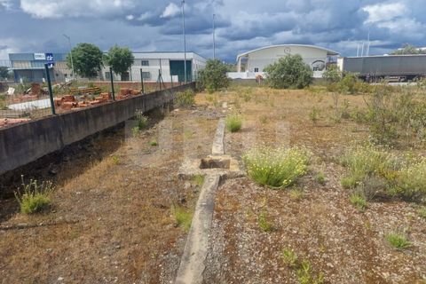 Terra a Arraiolos, Evora, Arraiolos - € 120.000 | Ref: UNU.I.1271.20159 - foto 6