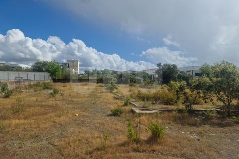 Terra a Arraiolos, Evora, Arraiolos - € 120.000 | Ref: UNU.I.1271.20159 - foto 8