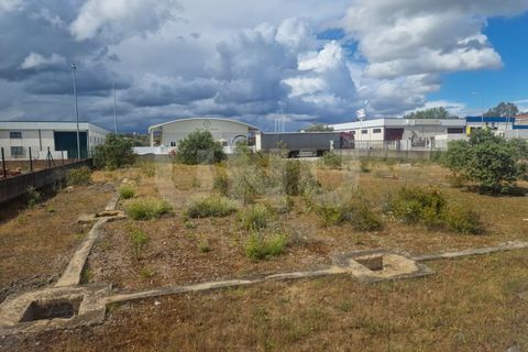 Terra a Arraiolos, Evora, Arraiolos - € 120.000 | Ref: UNU.I.1271.20159 - foto 9