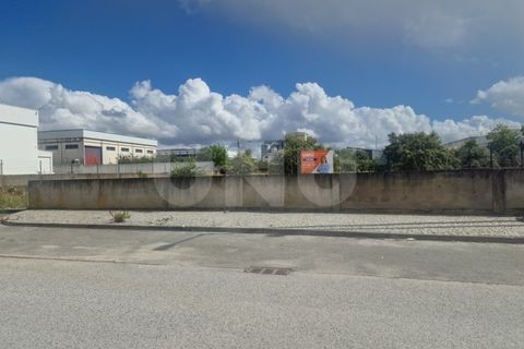 Terra a Arraiolos, Evora, Arraiolos - € 120.000 | Ref: UNU.I.1271.20159 - foto 11