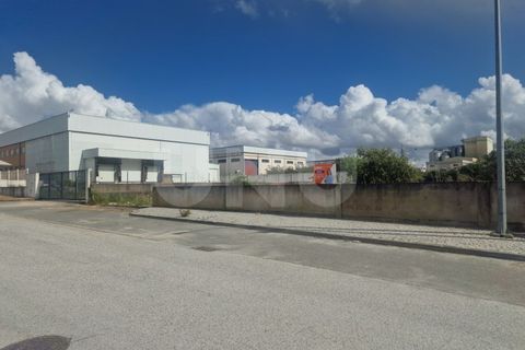 Terra a Arraiolos, Evora, Arraiolos - € 120.000 | Ref: UNU.I.1271.20159 - foto 12