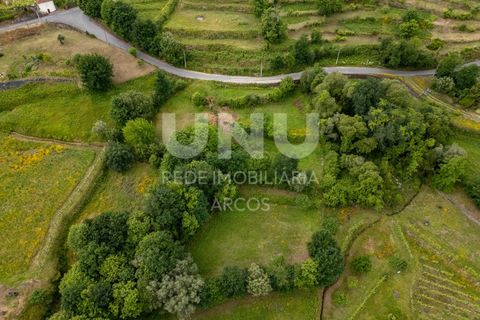 Helårsgrund i Arcos de Valdevez, Viana do Castelo, Arcos de Valdevez - € 25.000 | Ref: UNU.I.224.23362 - foto 8