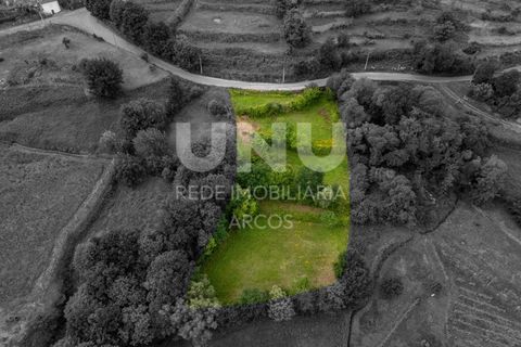 Helårsgrund i Arcos de Valdevez, Viana do Castelo, Arcos de Valdevez - € 25.000 | Ref: UNU.I.224.23362 - foto 10