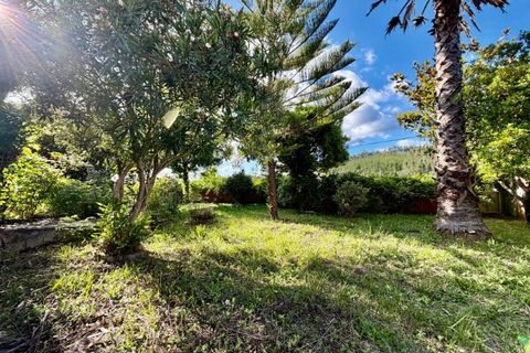 Villa a Sardoal, Santarem, Sardoal - € 450.000 | Ref: CAS_162 - foto 31