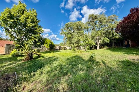 Villa a Sardoal, Santarem, Sardoal - € 450.000 | Ref: CAS_162 - foto 34