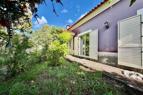 Villa a Sardoal, Santarem, Sardoal - € 450.000 | Ref: CAS_162 - foto 35