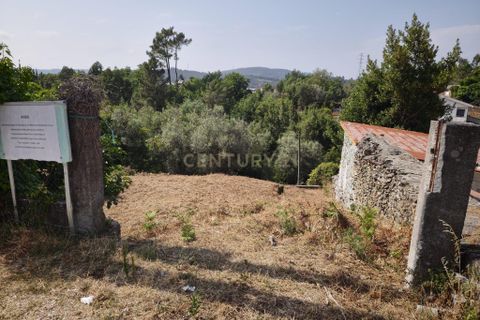 Terra a Santo Tirso, Porto, Santo Tirso - € 80.000 | Ref: C0393-01541 - foto 4