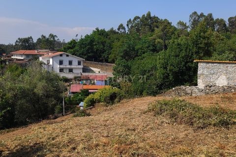 Terra a Santo Tirso, Porto, Santo Tirso - € 80.000 | Ref: C0393-01541 - foto 5