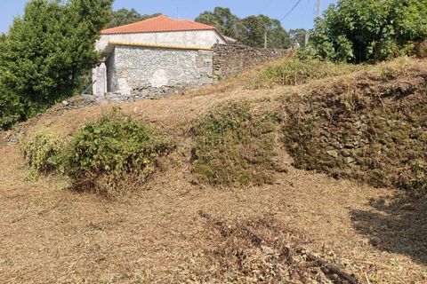 Terra a Santo Tirso, Porto, Santo Tirso - € 80.000 | Ref: C0393-01541 - foto 6