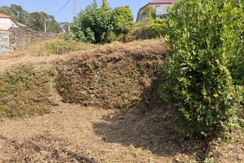 Terra a Santo Tirso, Porto, Santo Tirso - € 80.000 | Ref: C0393-01541 - foto 7