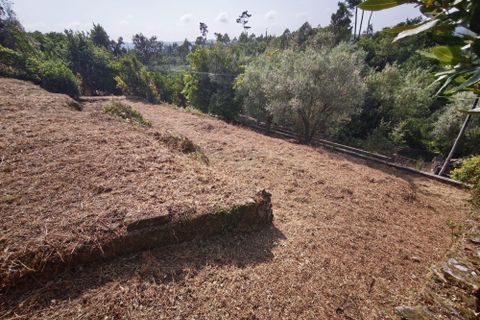 Terra a Santo Tirso, Porto, Santo Tirso - € 80.000 | Ref: C0393-01541 - foto 8