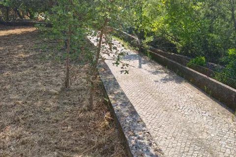 Terra a Santo Tirso, Porto, Santo Tirso - € 80.000 | Ref: C0393-01541 - foto 9