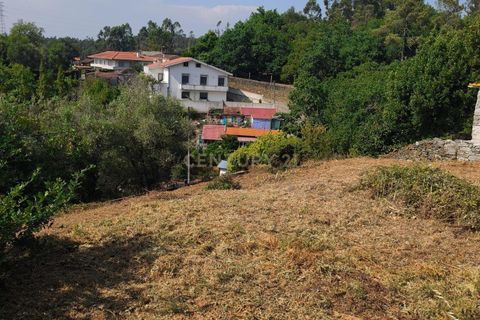 Terra a Santo Tirso, Porto, Santo Tirso - € 80.000 | Ref: C0393-01541 - foto 10