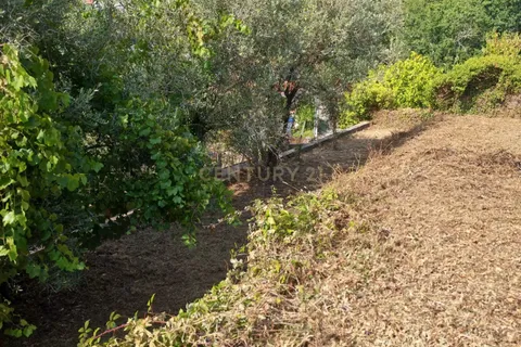 Terra a Santo Tirso, Porto, Santo Tirso - € 80.000 | Ref: C0393-01541 - foto 11