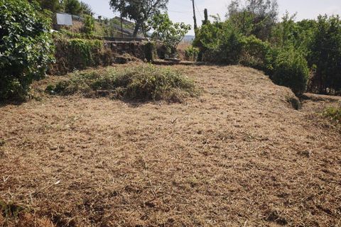Terra a Santo Tirso, Porto, Santo Tirso - € 80.000 | Ref: C0393-01541 - foto 12