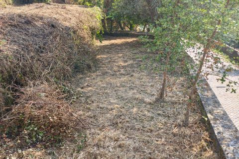 Terra a Santo Tirso, Porto, Santo Tirso - € 80.000 | Ref: C0393-01541 - foto 13