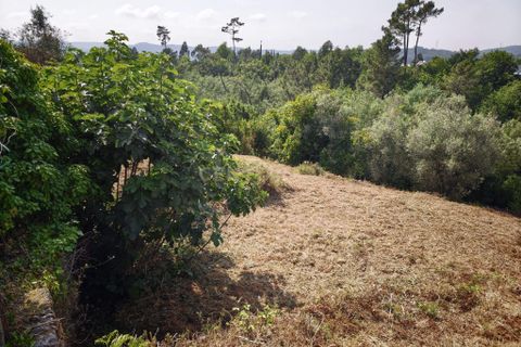 Terra a Santo Tirso, Porto, Santo Tirso - € 80.000 | Ref: C0393-01541 - foto 14