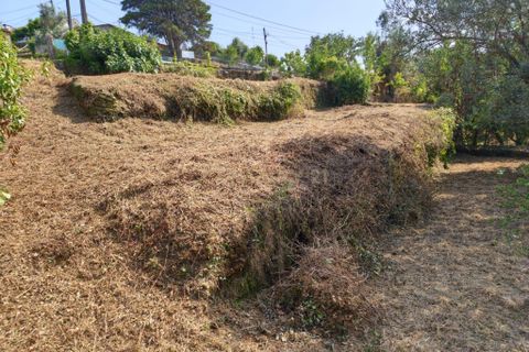 Terra a Santo Tirso, Porto, Santo Tirso - € 80.000 | Ref: C0393-01541 - foto 15
