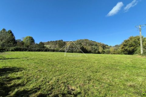 Helårsgrund i Youx, Puy-de-Dome, Youx - € 19.900 | Ref: M1086b - foto 4