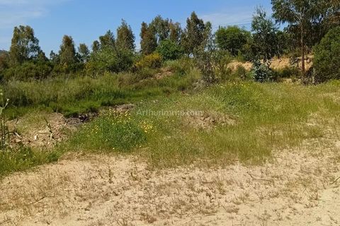 Helårsgrund i Moncale, Haute-Corse, Moncale - € 412.650 | Ref: 86997507 - foto 2