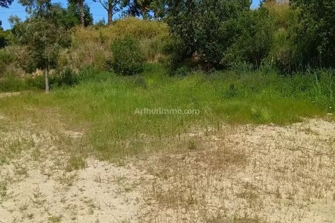 Helårsgrund i Moncale, Haute-Corse, Moncale - € 412.650 | Ref: 86997507 - foto 3