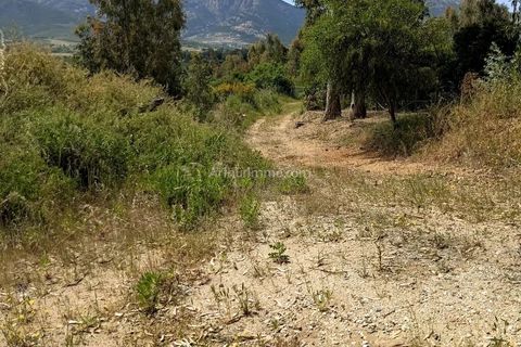 Helårsgrund i Moncale, Haute-Corse, Moncale - € 412.650 | Ref: 86997507 - foto 4