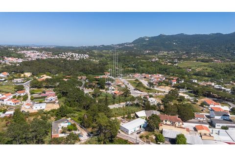 Helårsgrund i Sintra, Lisbon, Sintra - € 260.000 | Ref: HB0750 - foto 1